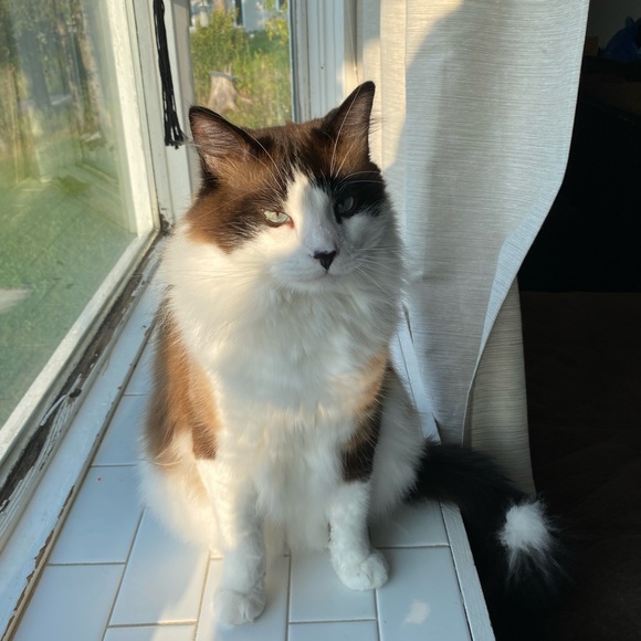 Meet your Posher, Aubrielle - Picture 1 of 1